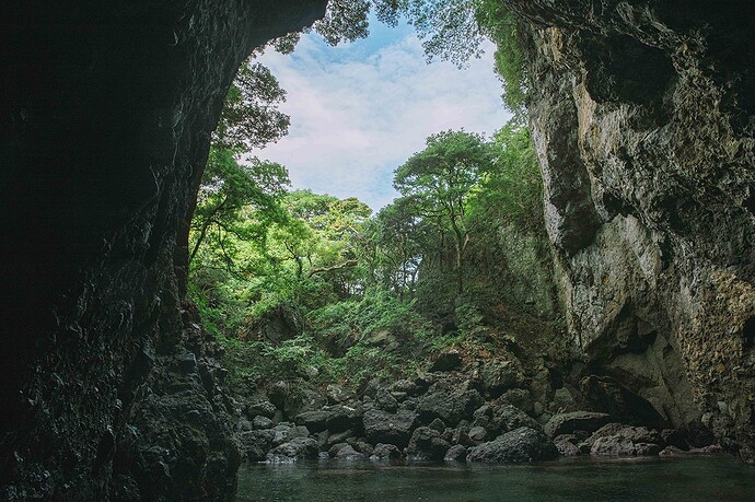 2-5-Hyogo-Nature