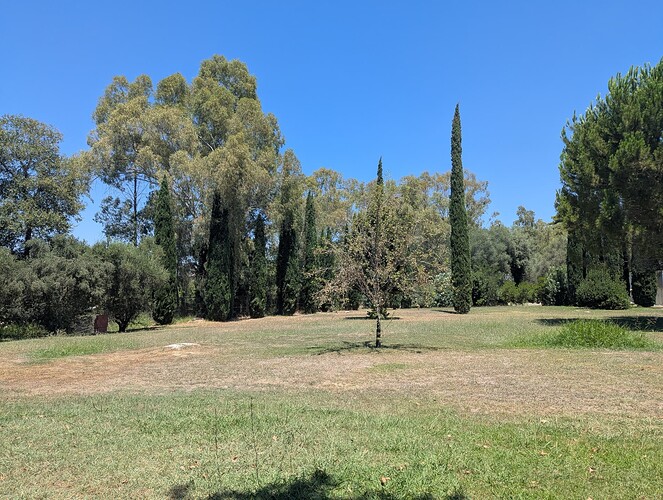 PXL_20250719_103437294_1