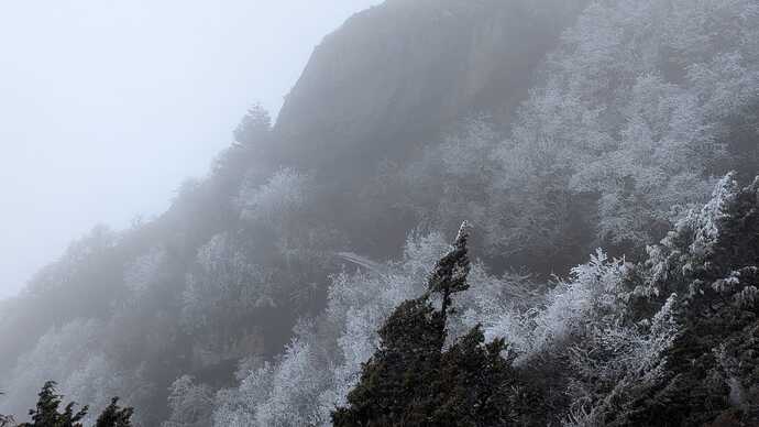 IMG-20250308-WA0007