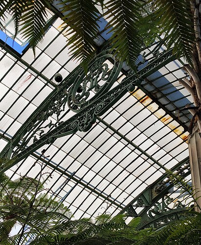 IMG_20250501_110021139_HDR