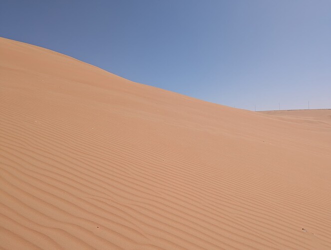 PXL_20250417_054626061_1