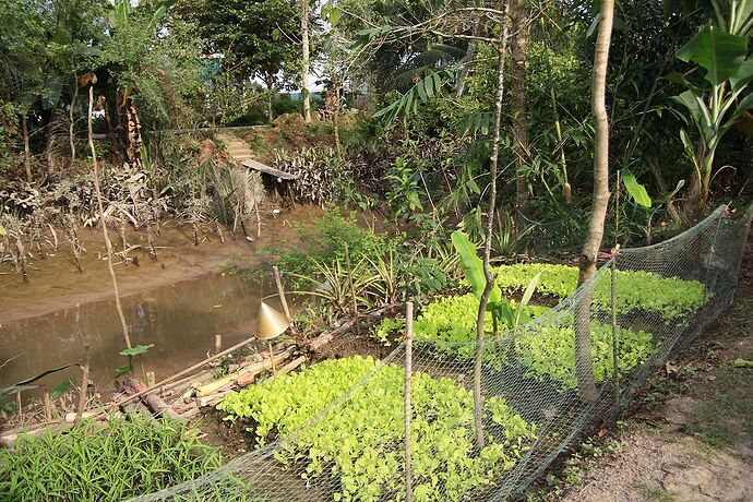 18 jours au Vietnam du Nord au sud, janvier 2018, jour 13 à 19 - lolotte34