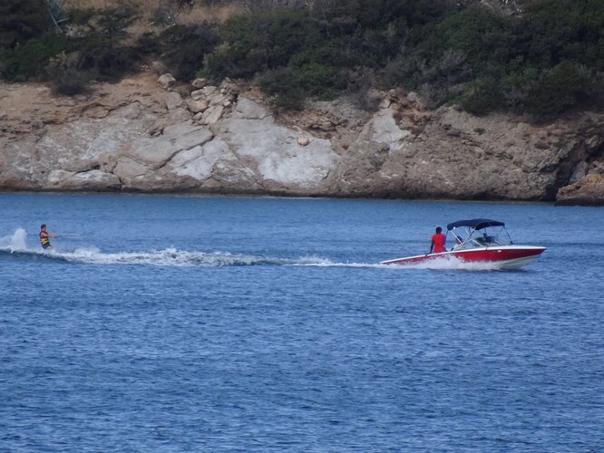 DSC03971_1