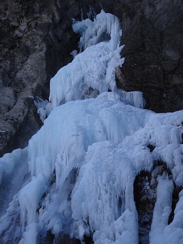 DSC02945_1