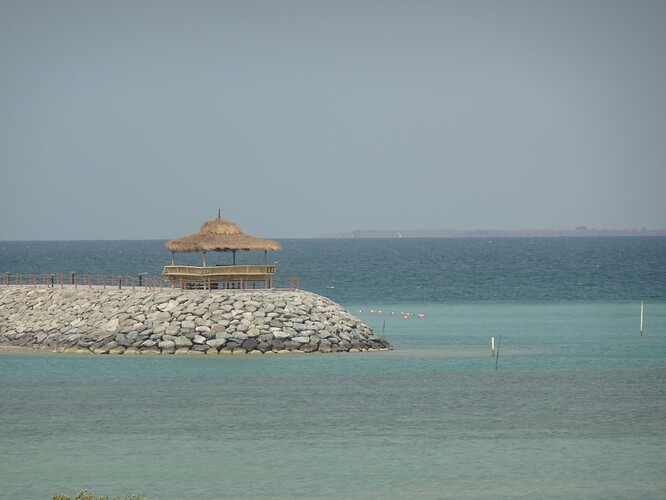DSC03162_1