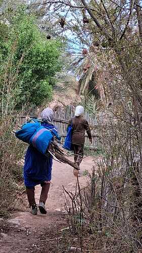 IMG-20260318-WA0001