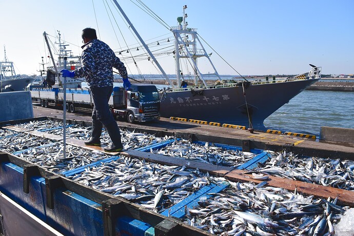 Le deuxième port de pêche de Choshi