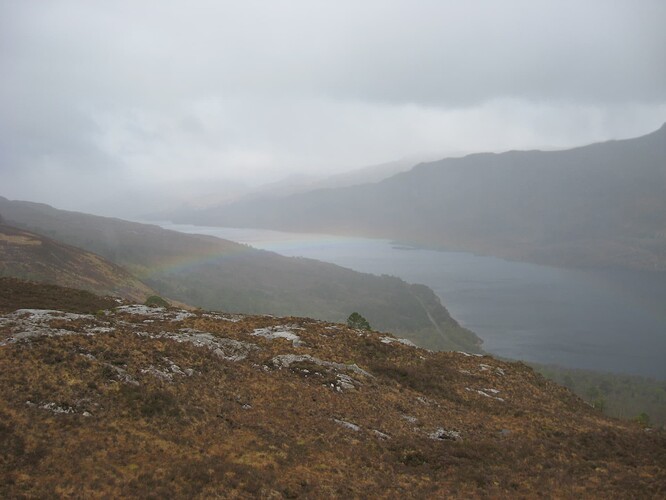 Ecosse (275)