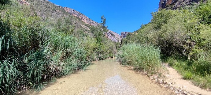 IMG_20240725_133542
