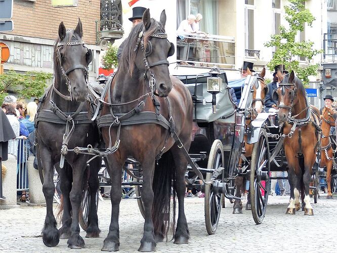 Elle voit des géants partout ! (Ducasse d’Ath, Belgique, Août 2018) - fabienne65