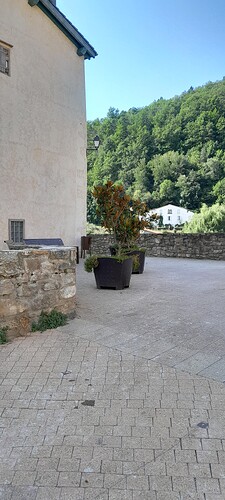 20250813_103754