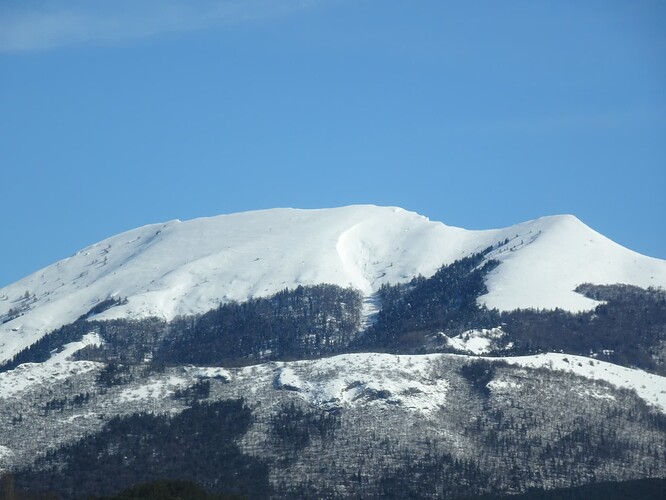 DSC05117_1