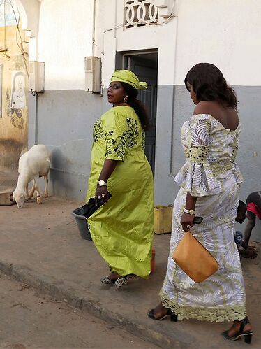 Visages et instantanés du Sénégal, Saint Louis et ses environs ... - fabienne65