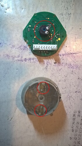 WP_20250703_12_46_28_Pro
