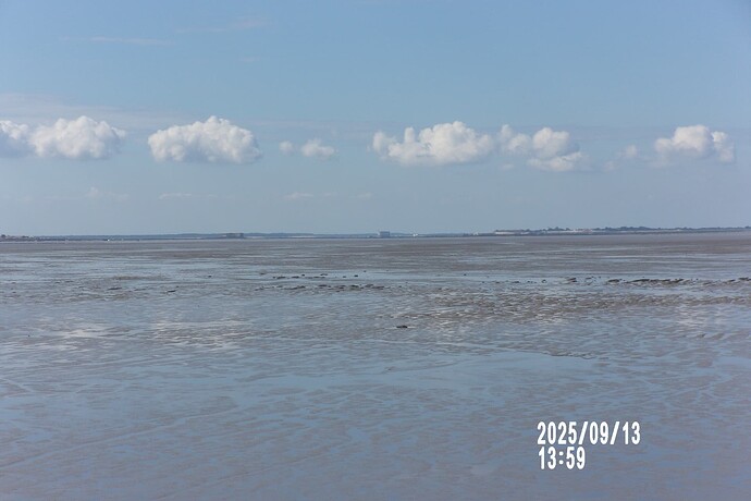 104_8305