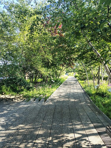 IMG_20250619_082524706_HDR