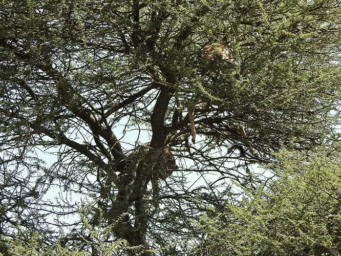 DSCN1549 2