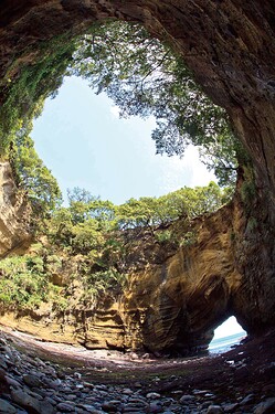000449Shizuoka Prefectural Tourism Association