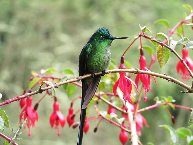 Carnet de voyage en Colombie (2/3) : Medellin et la vallée du Quindio  - Kikisbackpackingtour