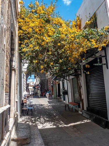 Médina de Tunis