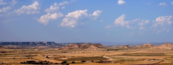 DSCF7335
