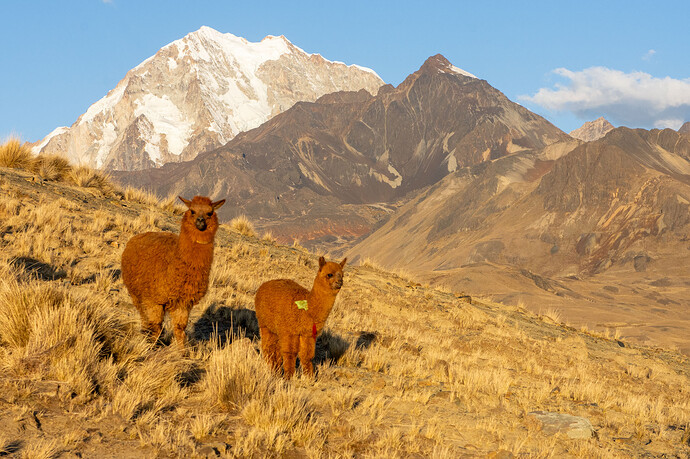 Bolivie-286