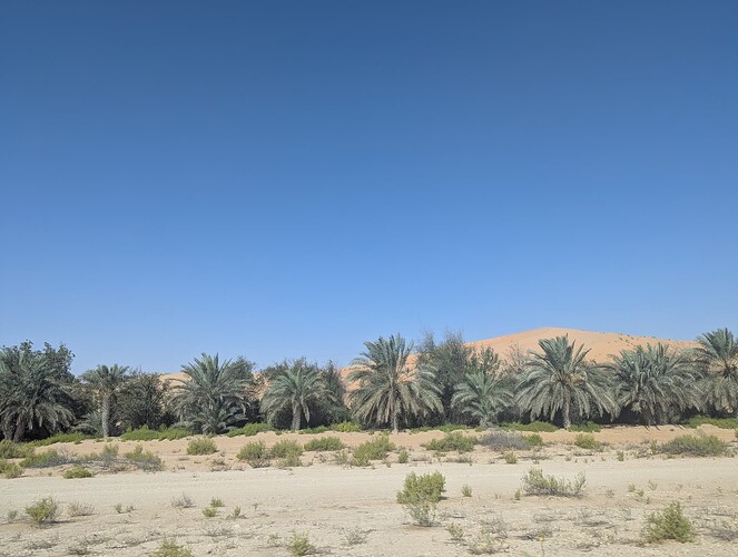 PXL_20250417_044434665_1