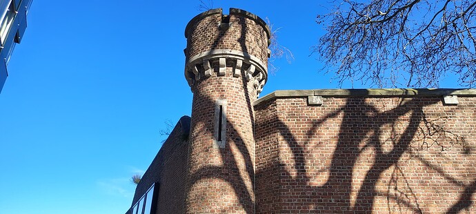 IMG_20260302_140317316_HDR