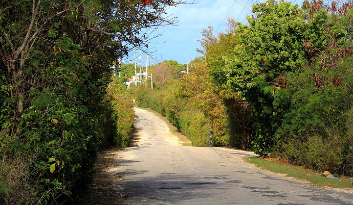 Un exemple de petite route anguillaise