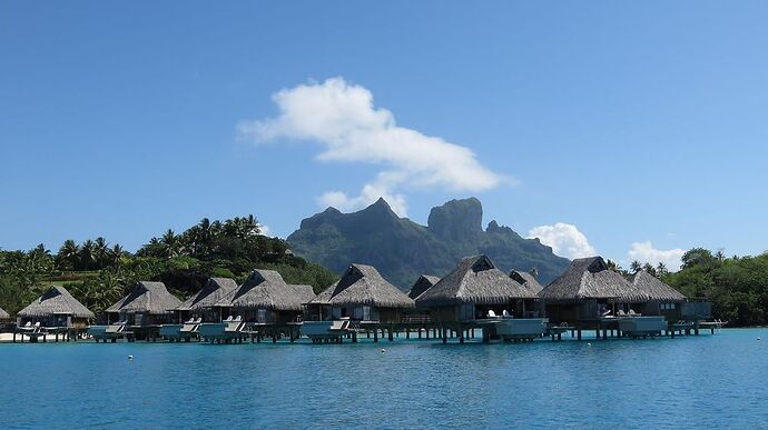 DE RETOUR D'UN MOIS EN POLYNESIE - tontonvin