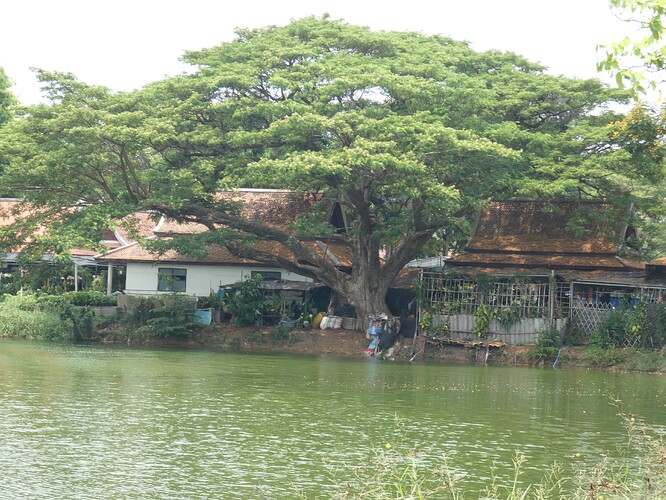 Parc Bueng Phra Ram