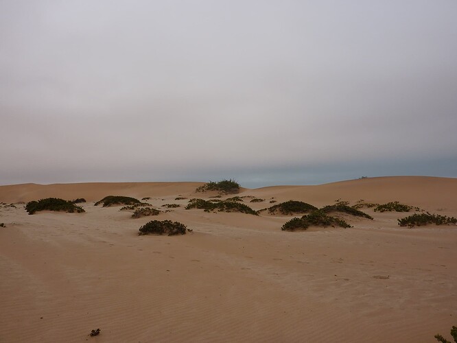 P1150329