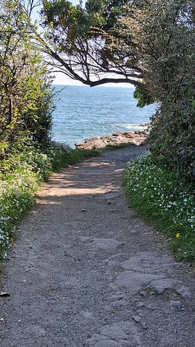 IMG-20250729-WA0011