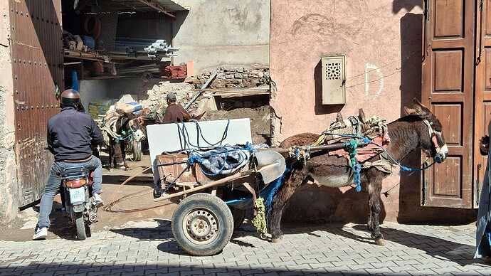 IMG-20260325-WA0007