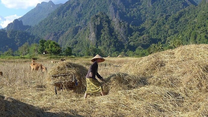 15 jours au Nord-Laos en nov 2015 - bernardlam