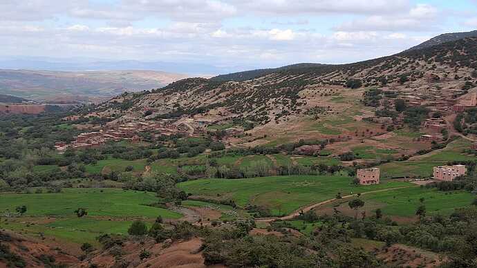 IMG-20250322-WA0006