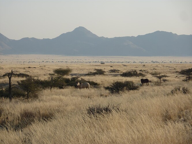 P1140363