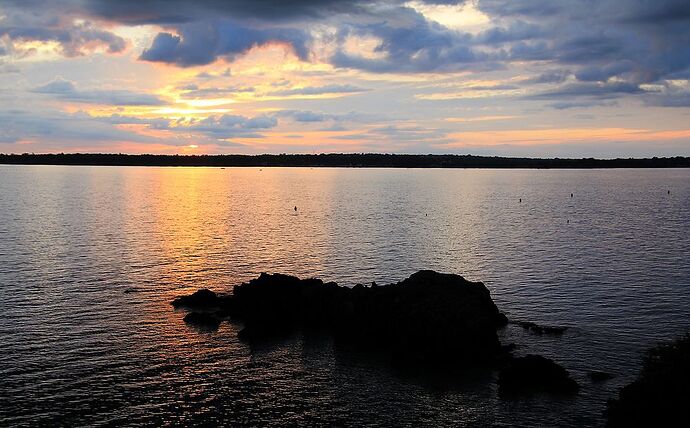 Souvenirs d’escapades en Bretagne, principalement dans le sud du Finistère. (seconde partie)  De Concarneau … aux îles des Glénan. - jem