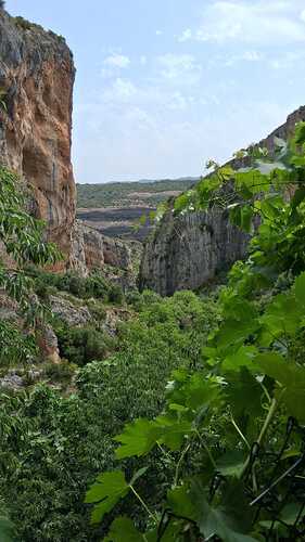 IMG-20250628-WA0003