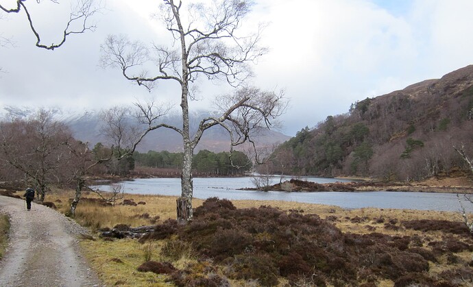 IMG_1879loch coulin