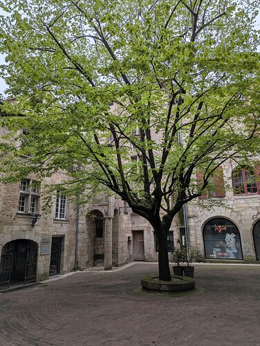 PXL_20260412_081454530_1