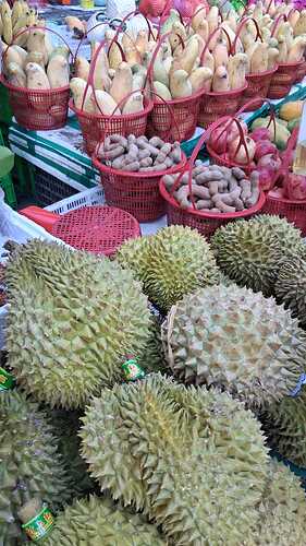 IMG-20251106-WA0018