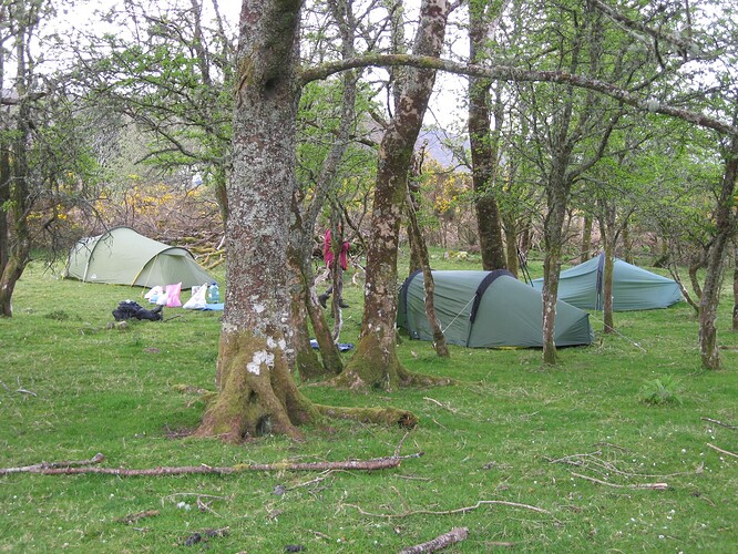 Ecosse (225)