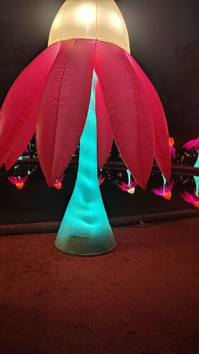IMG_20260212_191732086_HDR