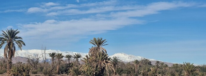IMG-20251229-WA0002