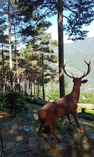 IMG_20250617_103910_794