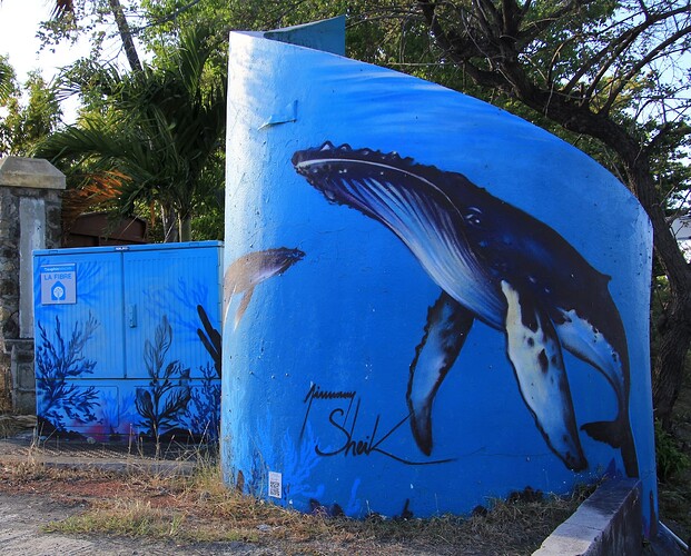 Baleine bleue
