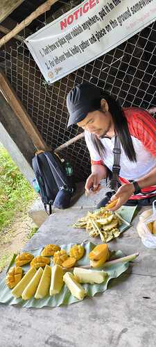IMG-20260224-WA0000
