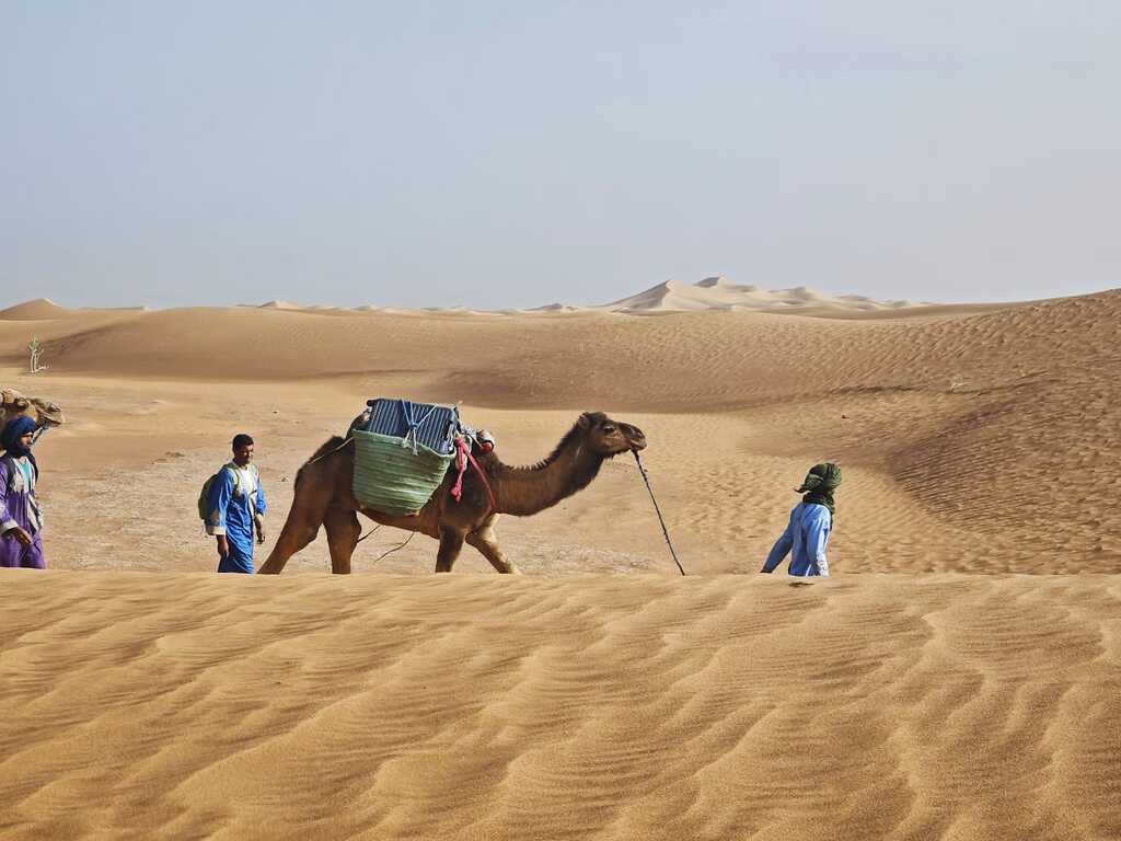 Trek dans le désert de Chegaga au Maroc