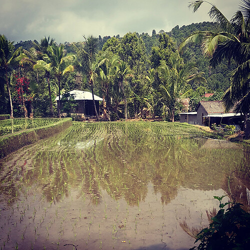 Roadtrip de 3 semaines - Bali, Lombok et Gili - RoxaNDCo